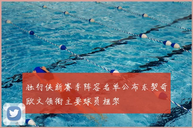 独行侠新赛季阵容名单公布东契奇欧文领衔主要球员框架