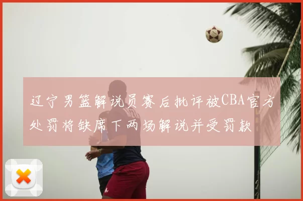 辽宁男篮解说员赛后批评被CBA官方处罚将缺席下两场解说并受罚款