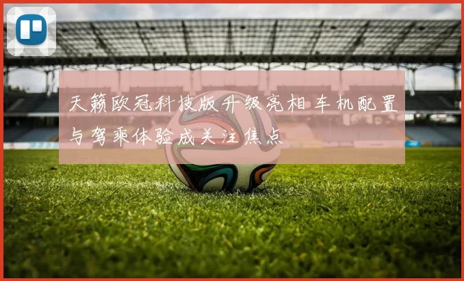 天籁欧冠科技版升级亮相 车机配置与驾乘体验成关注焦点