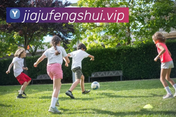 多媒体互动体验