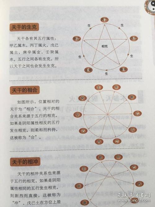 生辰属相八字五行查询_生辰八字查询免费算命_免费八字排盘算命