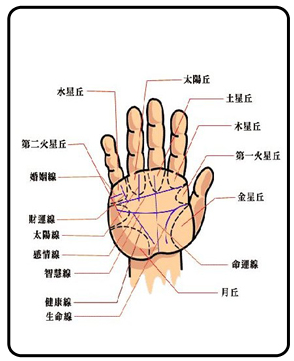 两条生命线的手相图解大全_手相图解大全男事业线_手相成功线大全图解