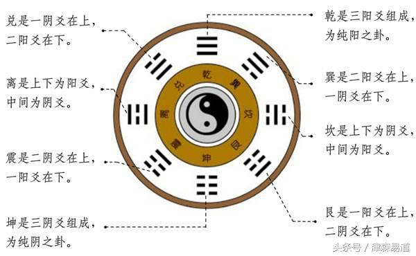 明占卜六爻预测的真谛(一)预测真谛