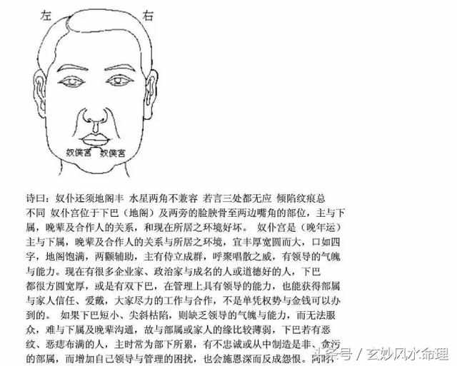 男人痣相图解显痣和隐痣，而面相上的痣