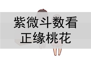 3月20日紫微斗数看适合从事的职业，经商还是从政？