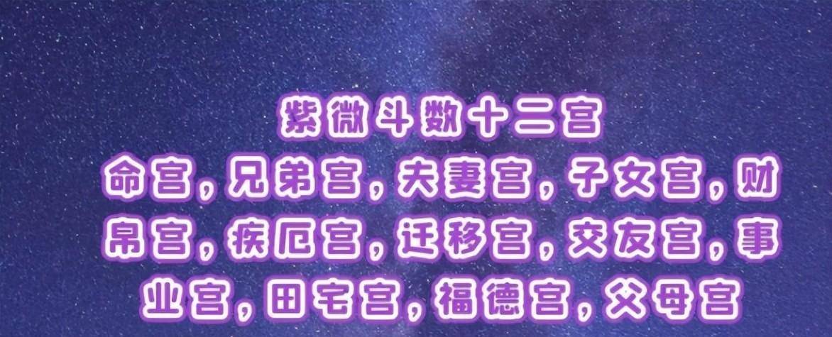 3月20日紫微斗数看适合从事的职业，经商还是从政？