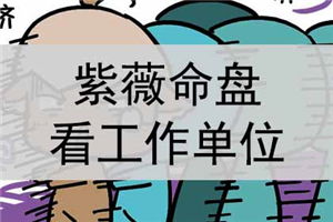 3月20日紫微斗数看适合从事的职业，经商还是从政？