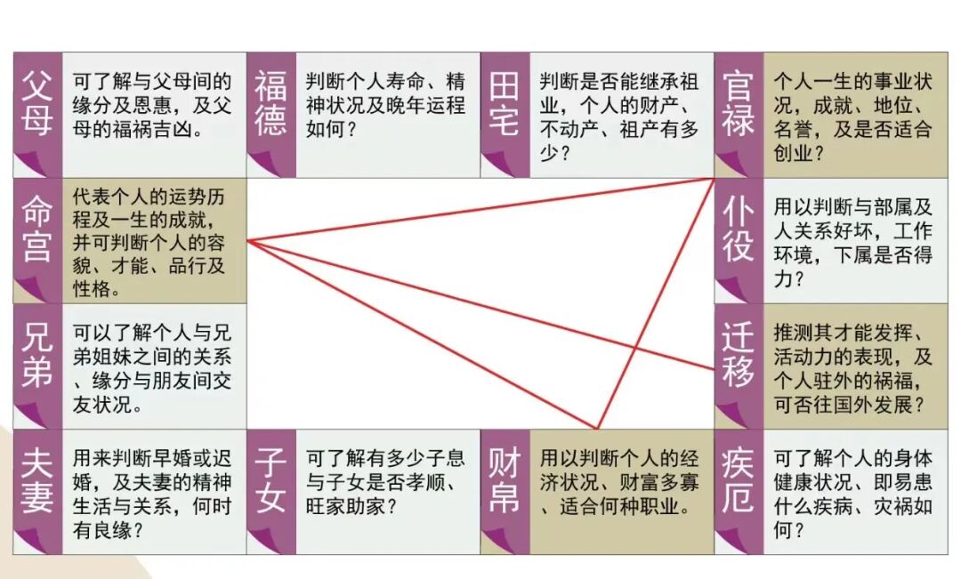 3月20日紫微斗数看适合从事的职业，经商还是从政？