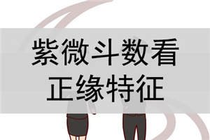 3月20日紫微斗数看适合从事的职业，经商还是从政？