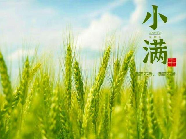 一个节气之——小满(组图)