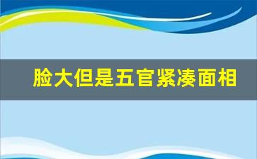 脸大但是五官紧凑面相