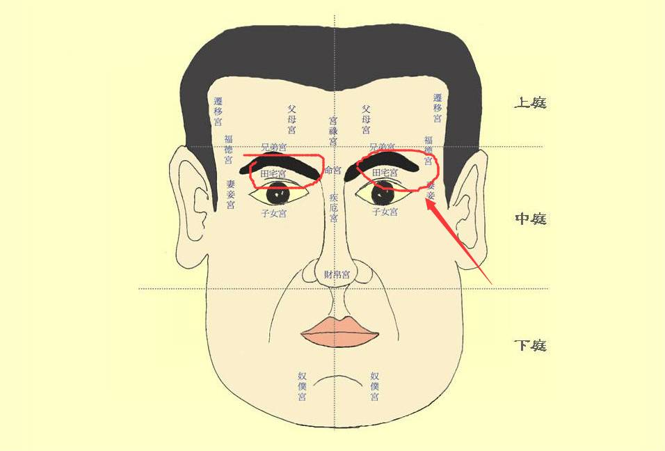 面相十二宫当中田宅宫，独占，左眼与田宅的意思