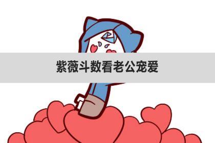 用紫薇斗数看老公宠爱怎么看感情的更多相关内容