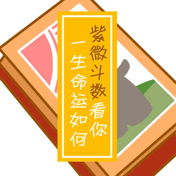 印指八字里的什么（特别厉害的女人紫微命格）