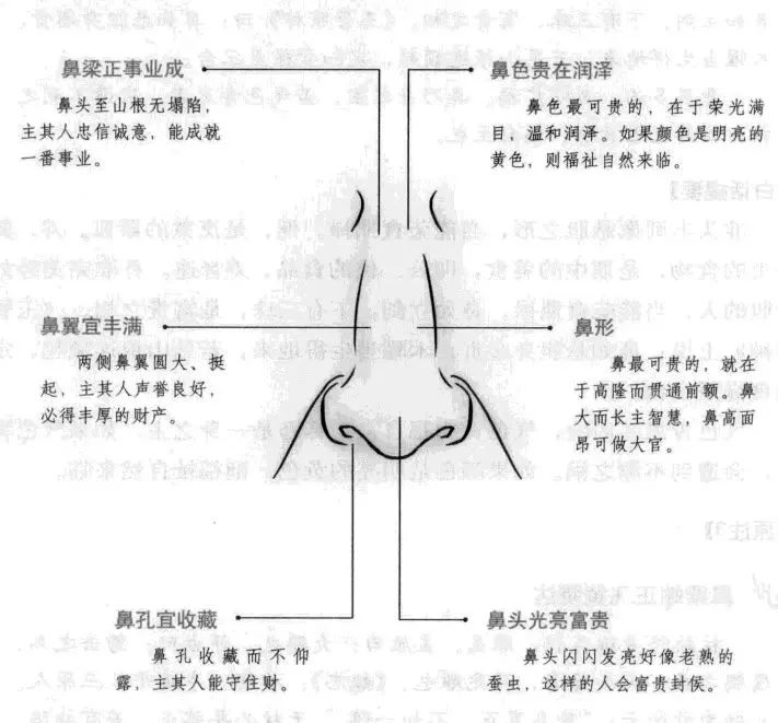 什么样的男人更容易是只恋爱不结婚的拖婚男