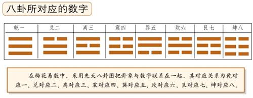 梅花易数取动爻法爻以六除