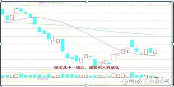 金口诀炒股 蚂蚁不能简单放大成大象，A8思维架构让你吃大亏