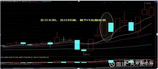 金口诀炒股 蚂蚁不能简单放大成大象，A8思维架构让你吃大亏