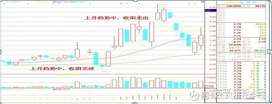 金口诀炒股 蚂蚁不能简单放大成大象，A8思维架构让你吃大亏