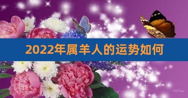 67年的属羊人在2023年阳历五月份会出现贵人吗？属猴2023怎么开运