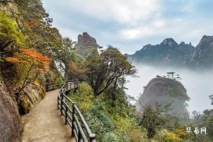 慈世堂：家里阳台的七种风水植物，财源广进