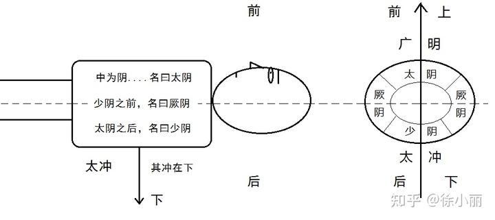 正太阴 《黄帝内经》中三阴三阳相关概念出现频次统计