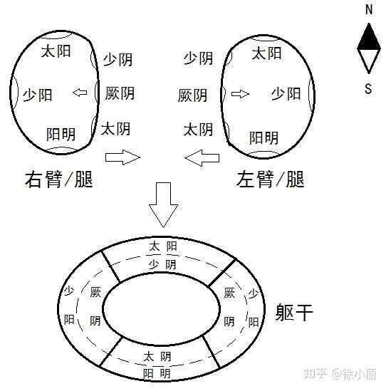 正太阴 《黄帝内经》中三阴三阳相关概念出现频次统计