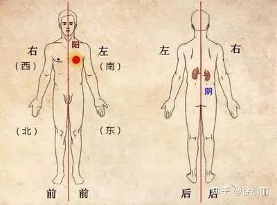 正太阴 《黄帝内经》中三阴三阳相关概念出现频次统计