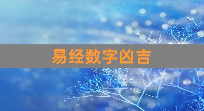 易经数字凶吉(神准周易手机号码测吉凶)