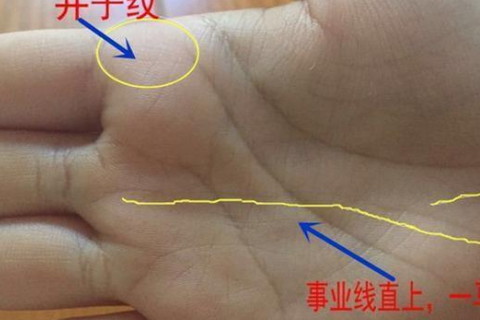 女人手相事业线哪种好？阴阳术数|悟真网