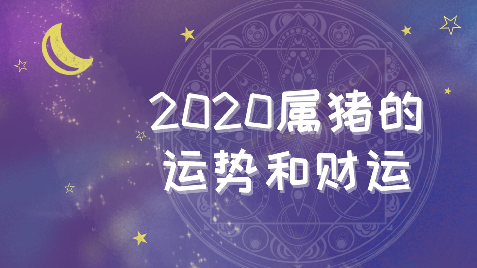 2007年属猪的人2020年财运运势，有你吗？