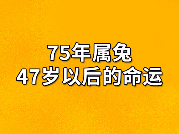 2023年出生的属兔人的命运是波折的