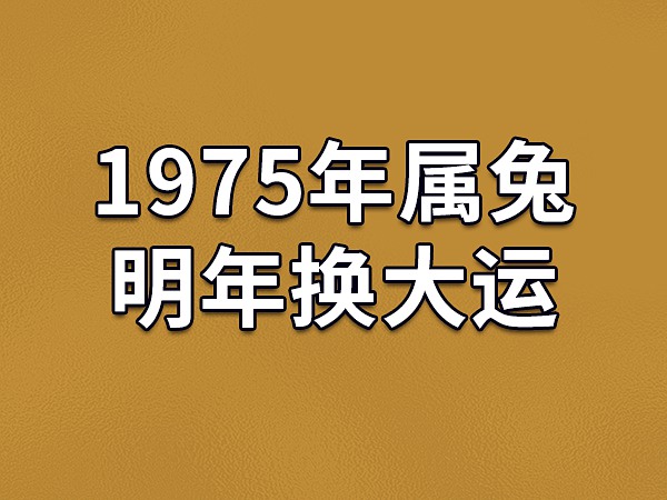 2023年出生的属兔人的命运是波折的