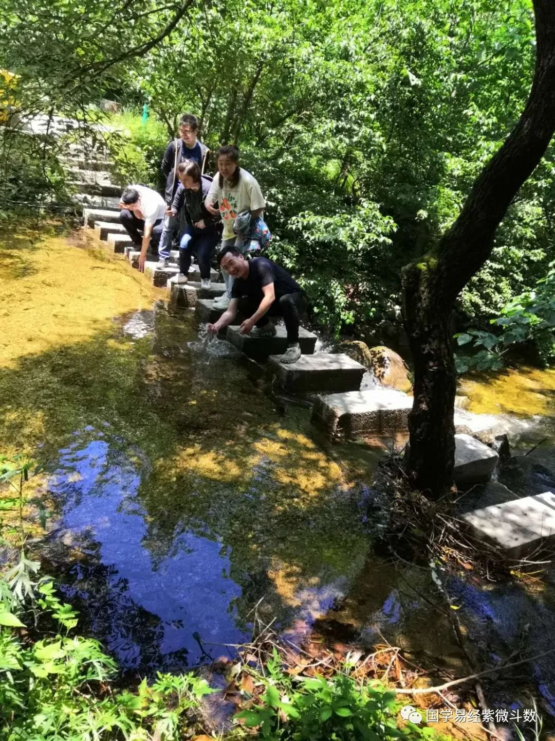 学习紫微斗数，探索道教圣地老君山，感受国学文化的魅力