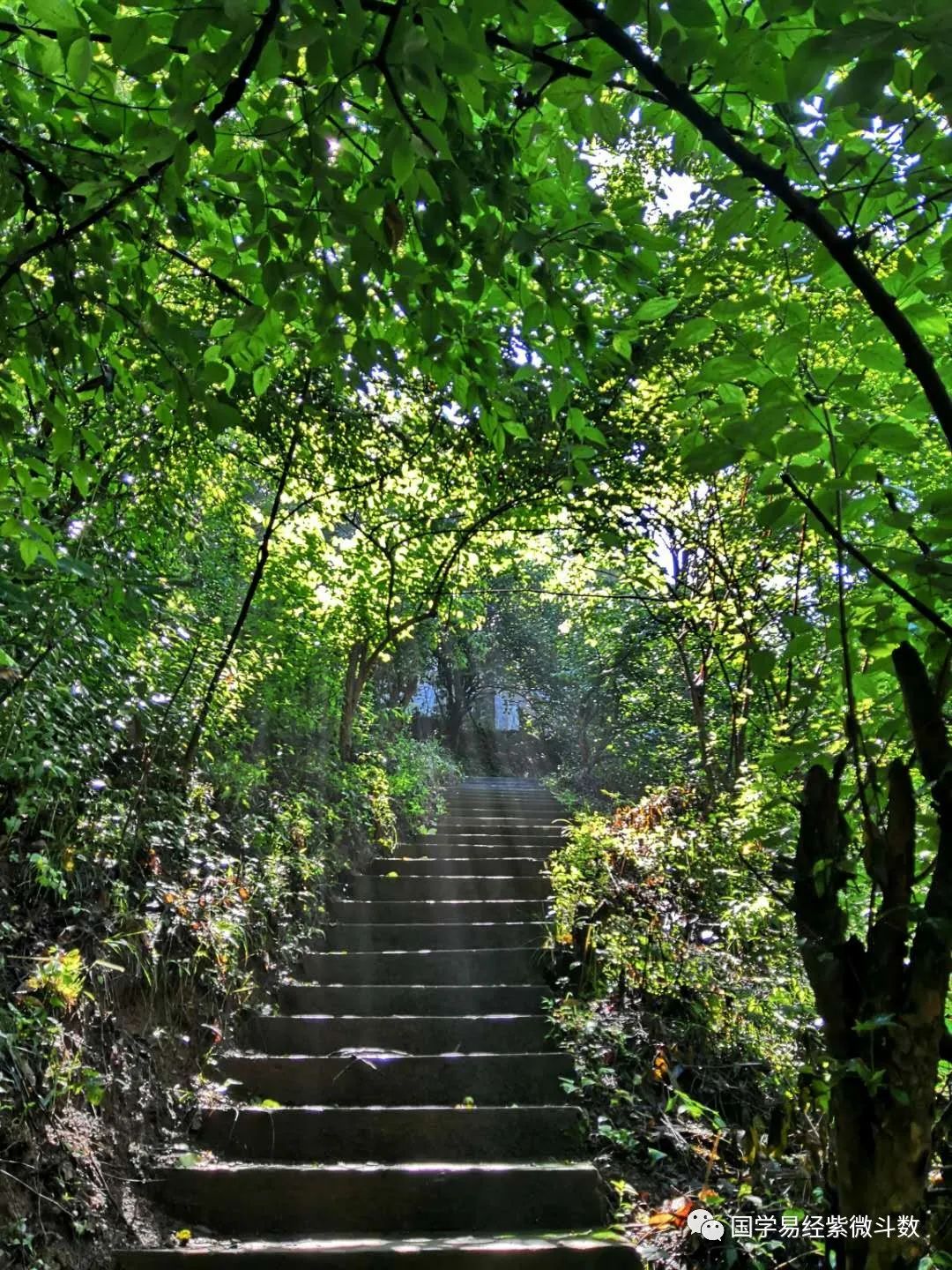 学习紫微斗数，探索道教圣地老君山，感受国学文化的魅力