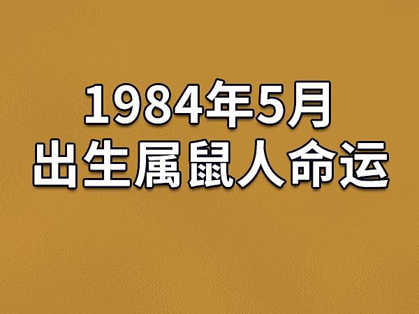 1984 年属鼠人 2024 年运势解析：事业、婚姻、综合运势全知道