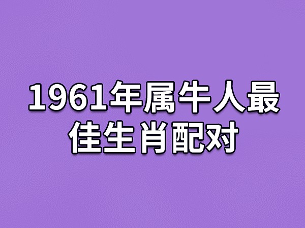 72 年属鼠女 2023 年每月运势全解析：农历三月家庭运势明朗，五月健康需注意