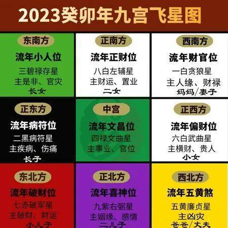 紫微斗数命盘：个人人生使用说明书，解读甲辰年运势变化