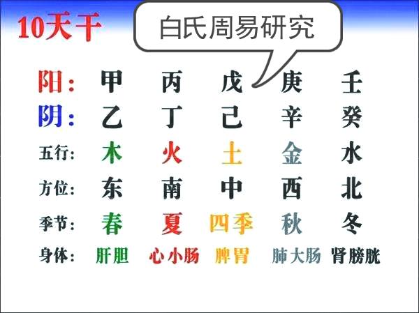 深入探究天干地支：起源、应用与文化意义